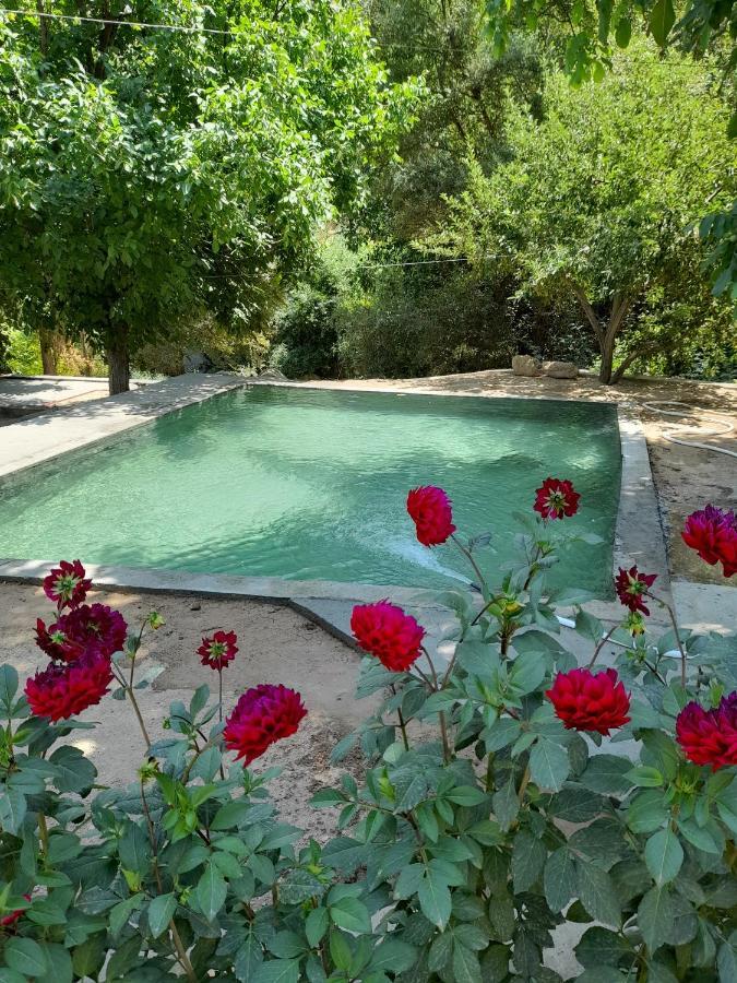 Forest Guest House Mirzakishlak Екстериор снимка
