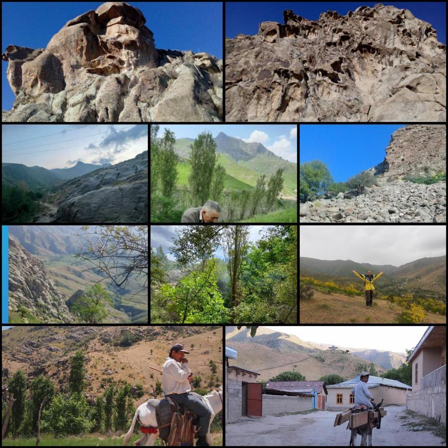 Forest Guest House Mirzakishlak Екстериор снимка