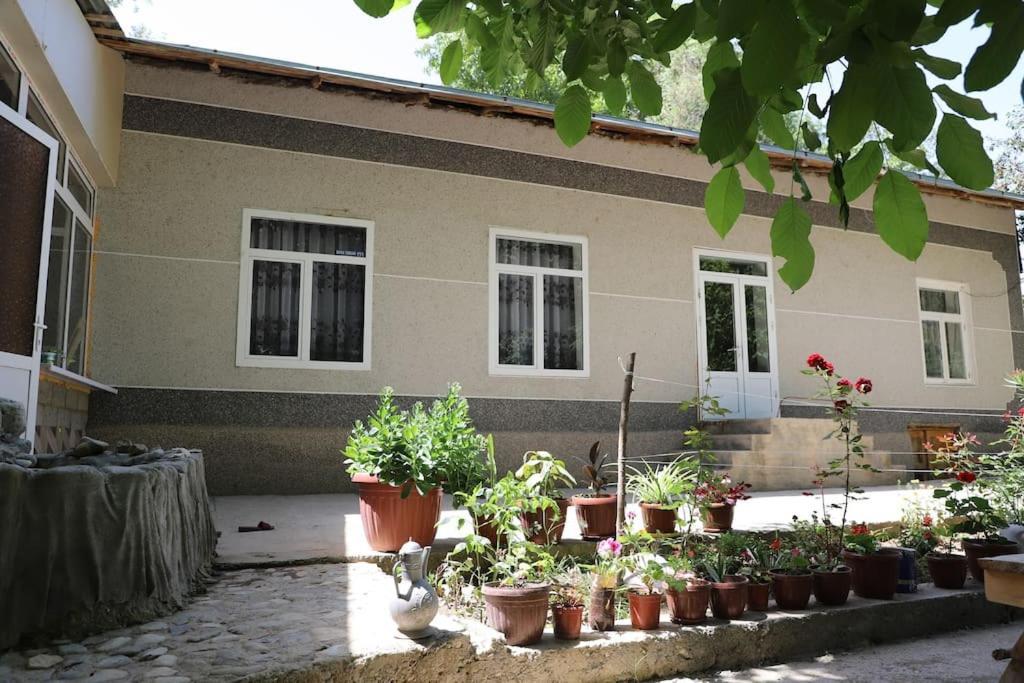 Forest Guest House Mirzakishlak Екстериор снимка