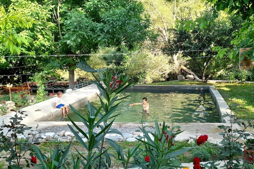 Forest Guest House Mirzakishlak Екстериор снимка